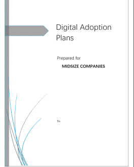 DIGITAL ADOPTION PLAN FOR MIDSIZE BUSINESSES
